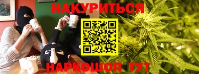 гашик Будённовск