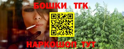 гашик Будённовск