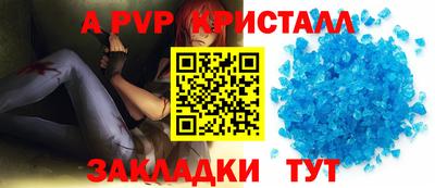 гашик Будённовск