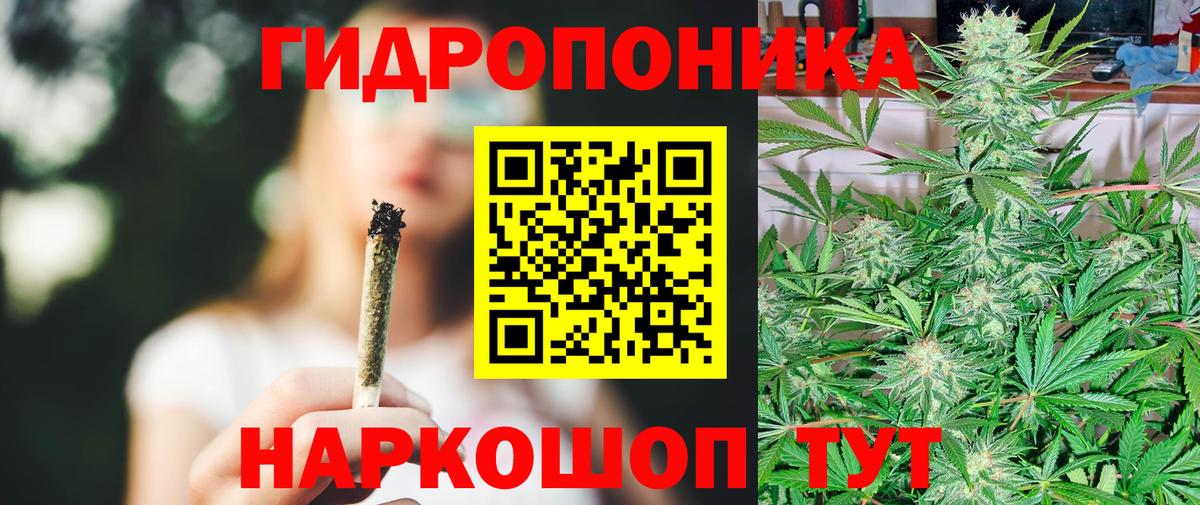Бошки Шишки план  Канабис OG Kush  Канабис Amnesia  Вход с VPN  Сланцы  Шишки марихуана план 